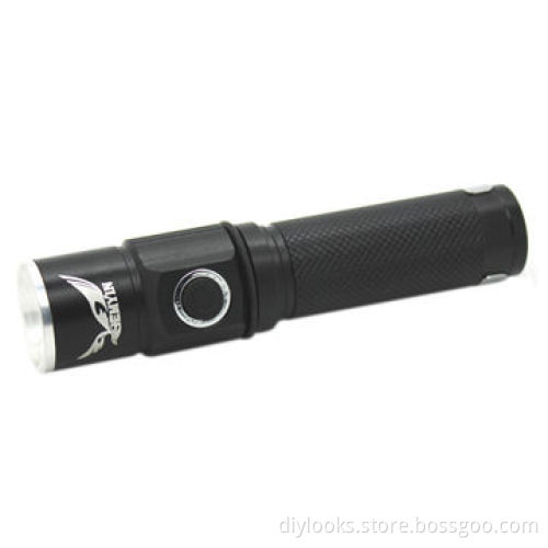 LED Mini Flashlight